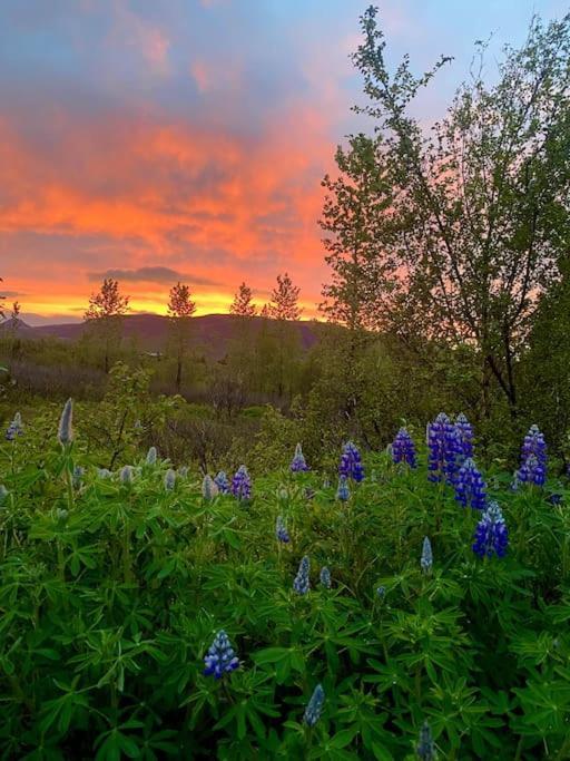 Luxury Cottage Located In The Golden Circle, Mountain View! Laugarvatn Dış mekan fotoğraf